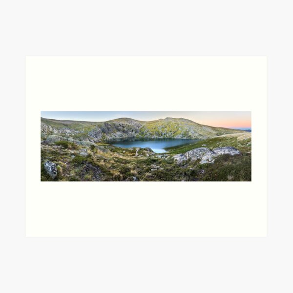 Art Print