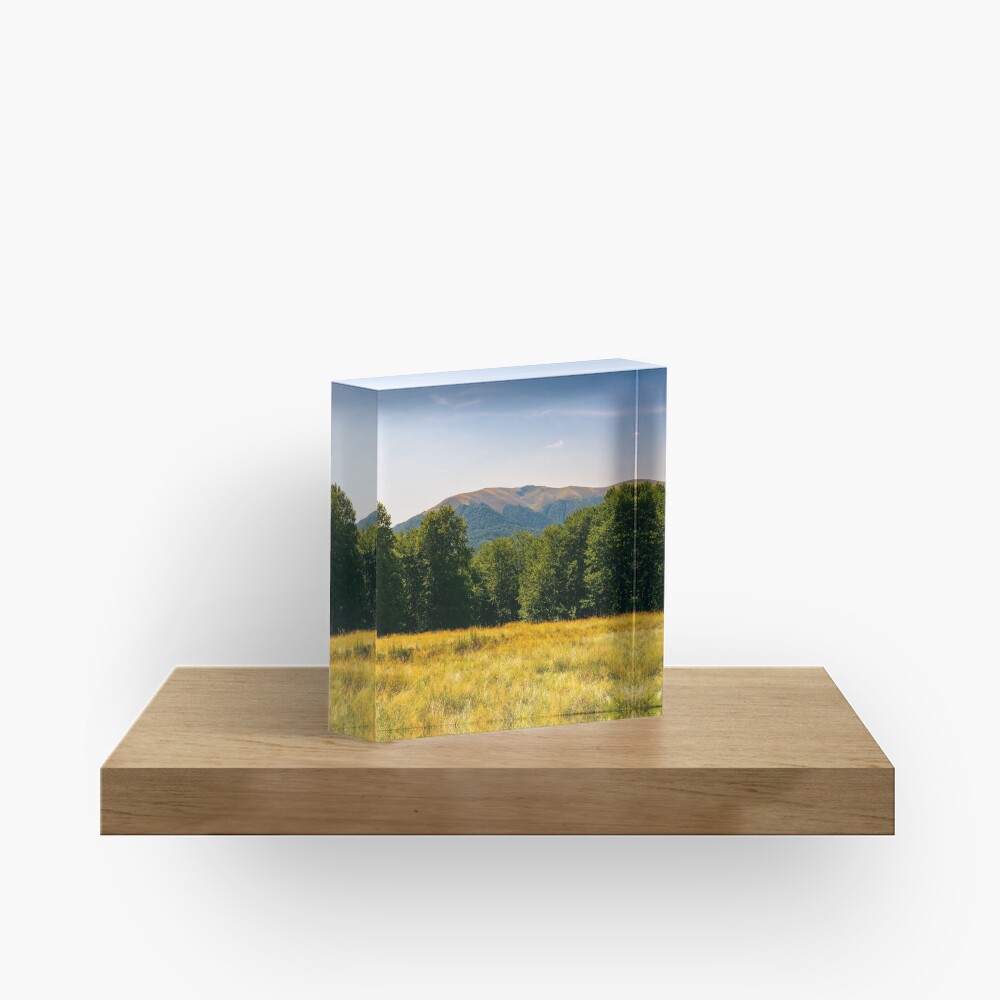 Item preview, Acrylic Block designed and sold by mike-pellinni.