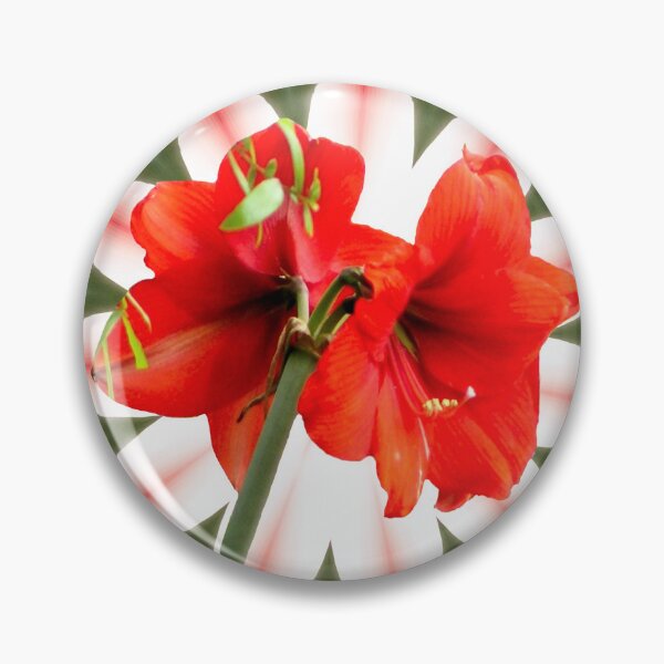 Item preview, Double Bloom Amaryllis Flower Design designed and sold by kristalcurt.