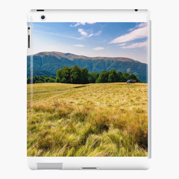 large grassy meadow of Carpathians iPad Snap Case