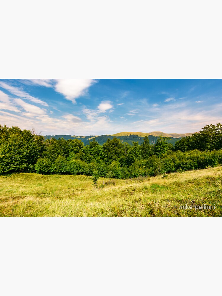 forested hill on the meadow in summer by mike-pellinni