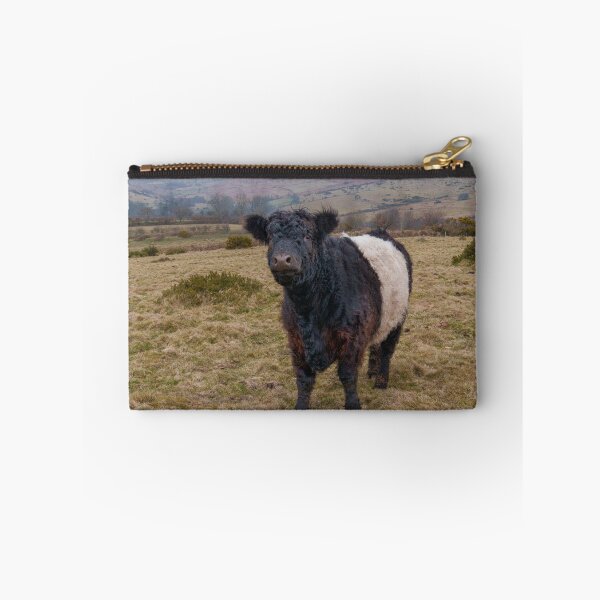 Item preview, Belted Galloway Standing Proud on Dartmoor Farmland designed and sold by rawshutterbug.
