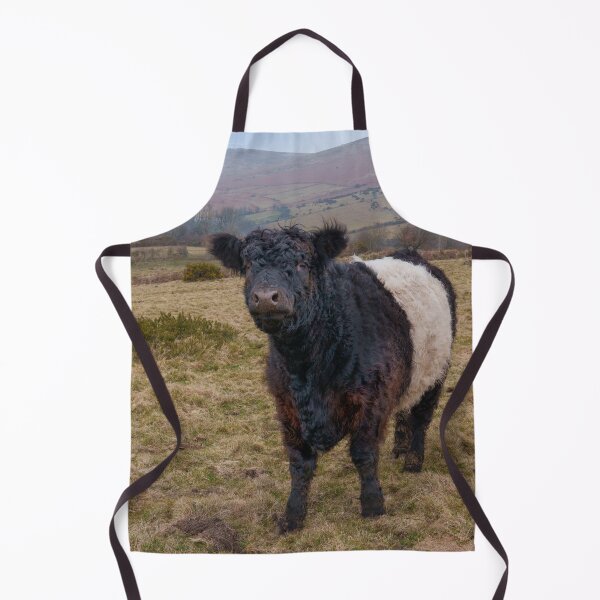 Item preview, Belted Galloway Standing Proud on Dartmoor Farmland designed and sold by rawshutterbug.