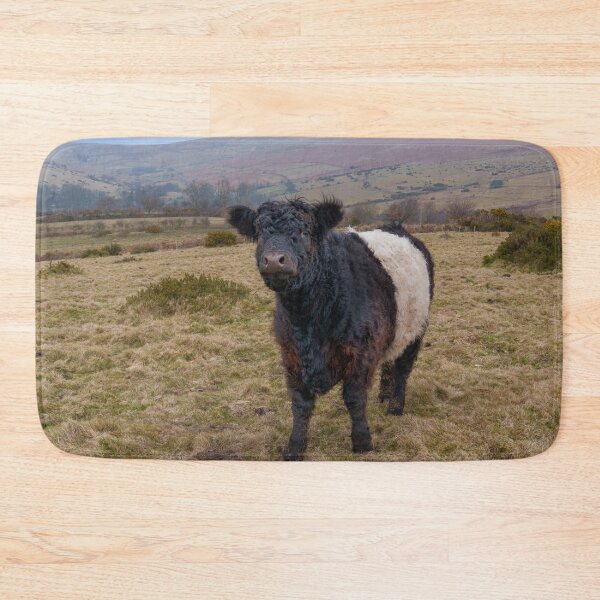 Item preview, Belted Galloway Standing Proud on Dartmoor Farmland designed and sold by rawshutterbug.