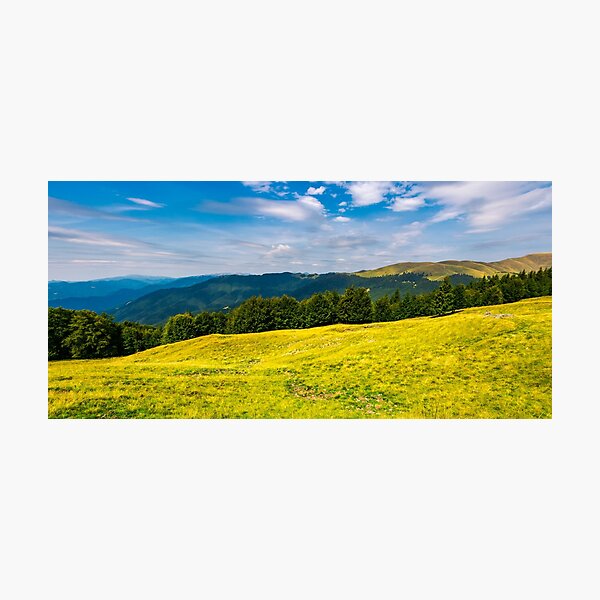 gorgeous weather over grassy slopes of Carpathians Photographic Print