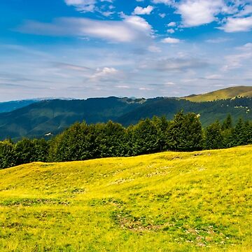 Artwork thumbnail, gorgeous weather over grassy slopes of Carpathians by mike-pellinni
