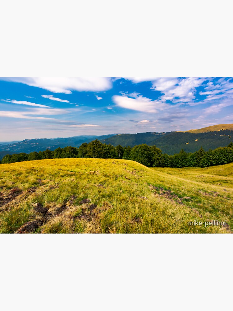 beautiful summer landscape of Carpathians by mike-pellinni
