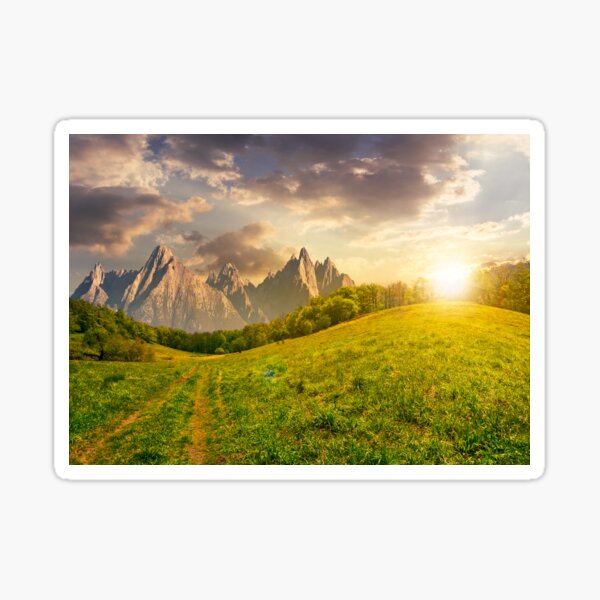 forest on grassy hillside in tatras at sunset Sticker