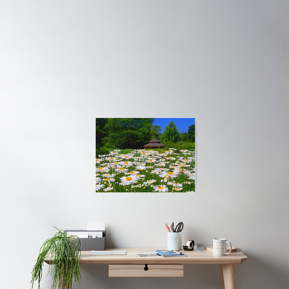 Pushing Up Daisies Poster