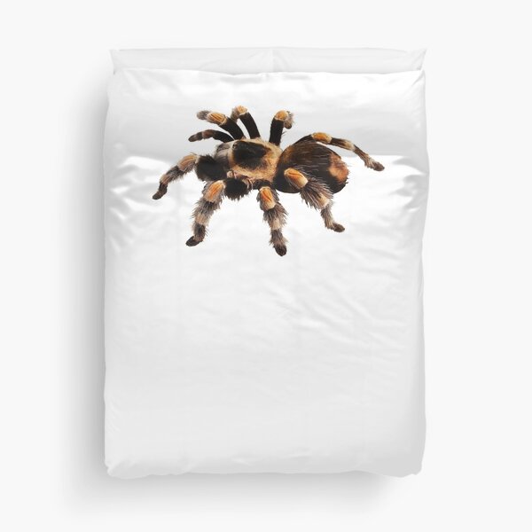 "Tarantula Exotic Spider Gift Pet Tarantula Keeper Arachnid Lover I