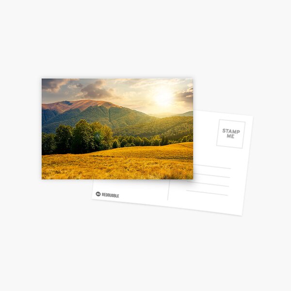 beech forest near Apetska mountain at sunset Postcard