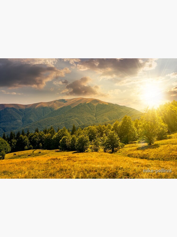 Thumbnail 2 of 2, Art Board Print, forest on grassy meadows in mountains at sunset designed and sold by mike-pellinni.