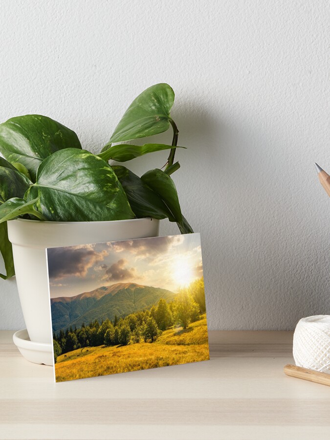 Thumbnail 1 of 2, Art Board Print, forest on grassy meadows in mountains at sunset designed and sold by mike-pellinni.