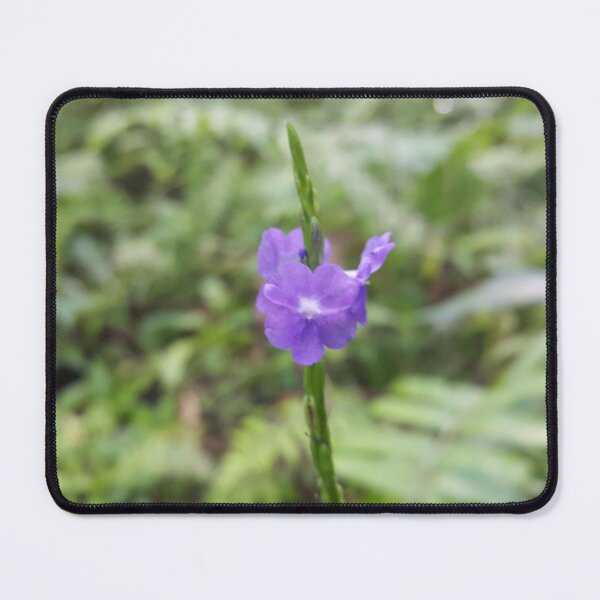 Item preview, Beautiful purple flowers. Perfect for Nature Lovers who love Flowers. designed and sold by Yusuf-Design.