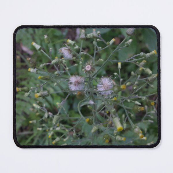 Item preview, Colorful Flowers Perfect for Nature Lovers who love Flowers. designed and sold by Yusuf-Design.