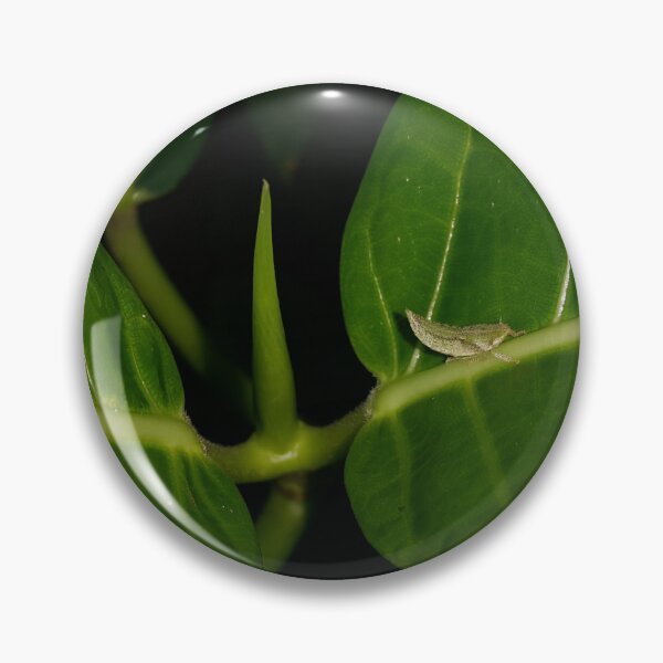 Item preview, Small green animal resting on green leaves. designed and sold by Yusuf-Design.