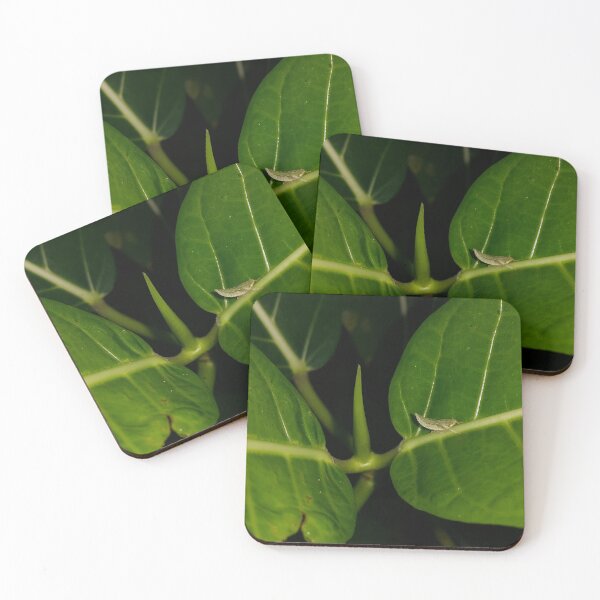 Item preview, Small green animal resting on green leaves. designed and sold by Yusuf-Design.