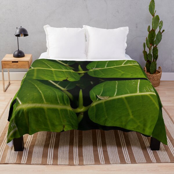 Item preview, Small green animal resting on green leaves. designed and sold by Yusuf-Design.