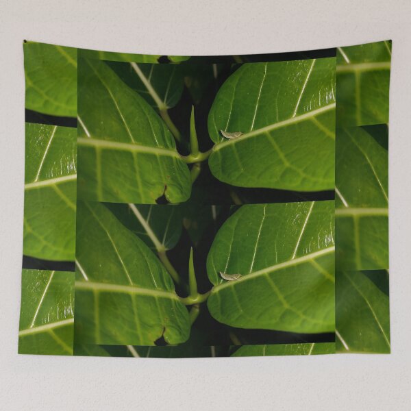 Item preview, Small green animal resting on green leaves. designed and sold by Yusuf-Design.