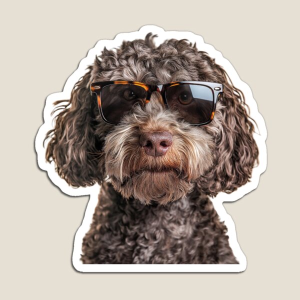 Aperçu de l'œuvre Chien d'eau espagnol drôle et cool portant des lunettes de soleil créée et vendue par LazyOwlStore.