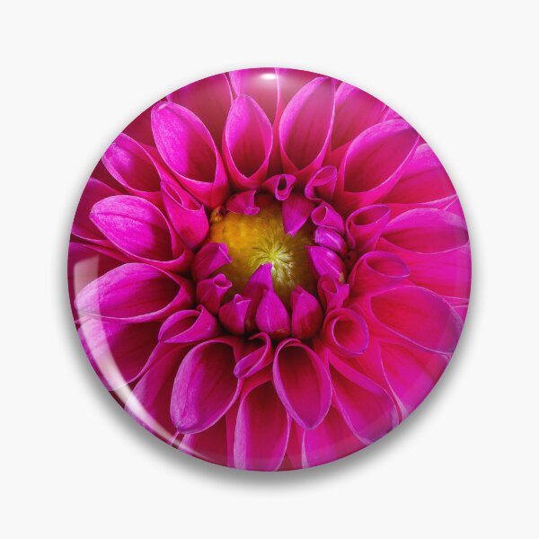 Item preview, Macro Hot Pink Dahlia Flower with yellow centre folded in petals designed and sold by peckofpickles.