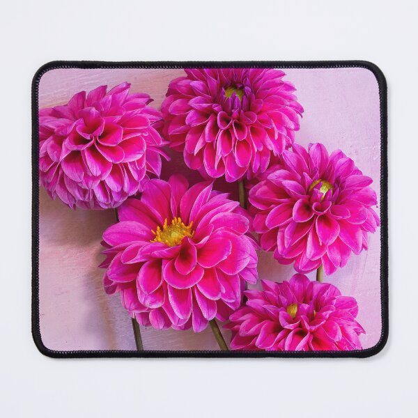 Item preview, Bunch of Hot Pink Dahlias Flatlay Photography  designed and sold by peckofpickles.