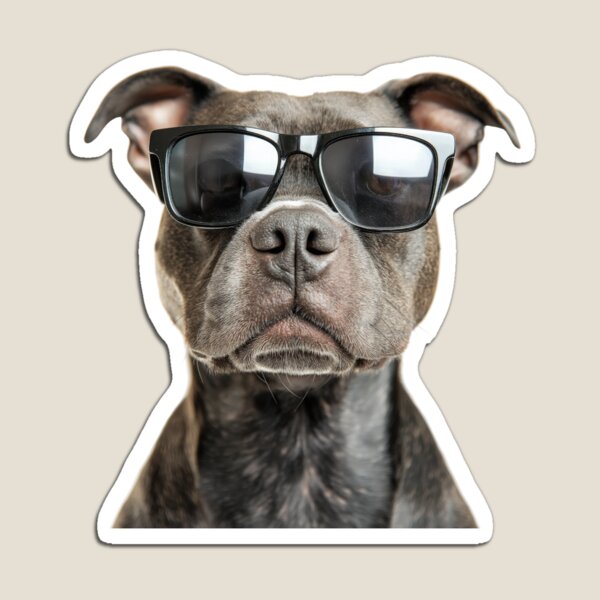 Item preview, Funny cool Staffordshire Bull Terrier Dog wearing sunglasses designed and sold by LazyOwlStore.