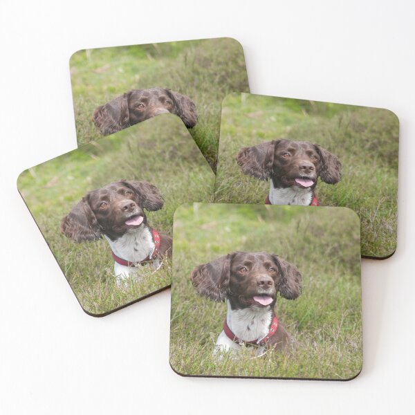 Item preview, George The English Springer Spaniel Hiding designed and sold by Sheila Laurens.