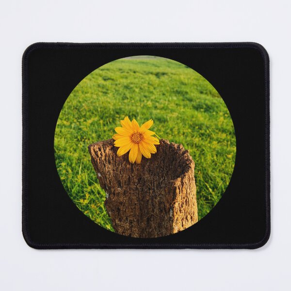 Item preview, Sunflower on Weathered Wooden Plank designed and sold by KajalGulgulia.