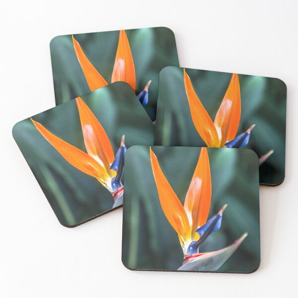 Item preview, strelitzia. designed and sold by Nino rocha fotografia.