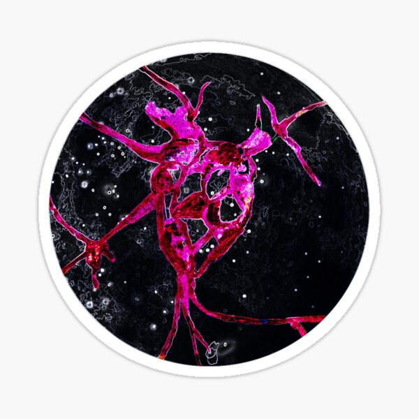 Umschließendes menschliches Herz in Pink auf Schwarz Sticker