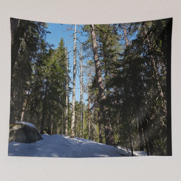 Item preview, Path in the snow. Seitseminen Multiharju designed and sold by Jouko Lehto Photography.