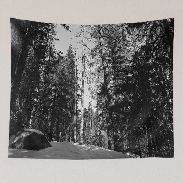 Item preview, Path in the snow. Seitseminen Multiharju bw designed and sold by Jouko Lehto Photography.