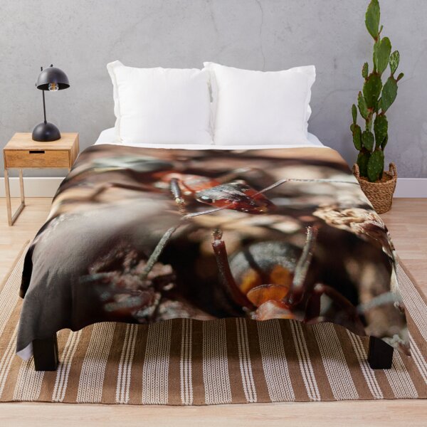 Item preview, Red wood ant designed and sold by Jouko Lehto Photography.