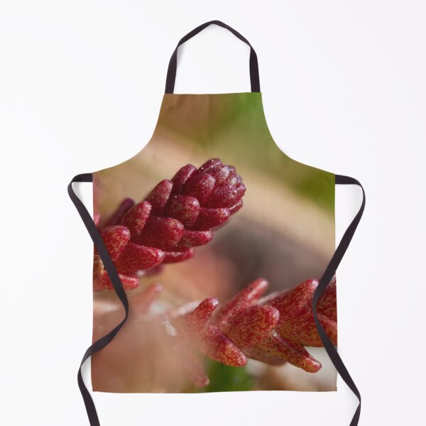 Item preview, Stonecrop designed and sold by Jouko Lehto Photography.