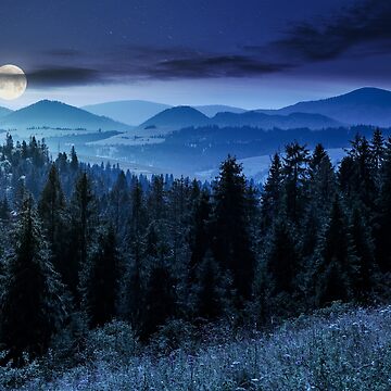 Artwork thumbnail, spruce forest in mountains at night by mike-pellinni