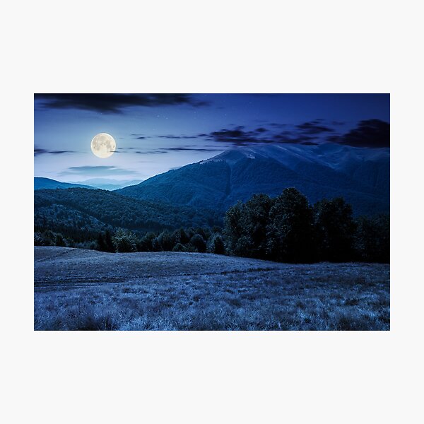 beech forest near Apetska mountain at night Photographic Print