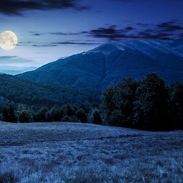 Artwork thumbnail, beech forest near Apetska mountain at night by mike-pellinni