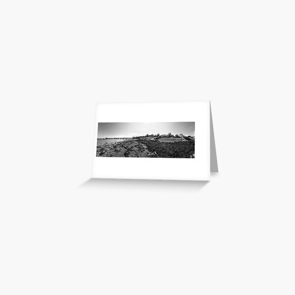 Sweeping Winds on the UK South Coast by Blink Friction Imaging Monochrome Photography Greeting Card