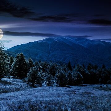 Artwork thumbnail, forest on grassy meadows in mountains at night by mike-pellinni