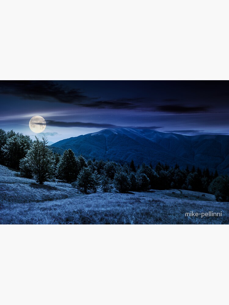 Thumbnail 3 of 3, Sticker, forest on grassy meadows in mountains at night designed and sold by mike-pellinni.