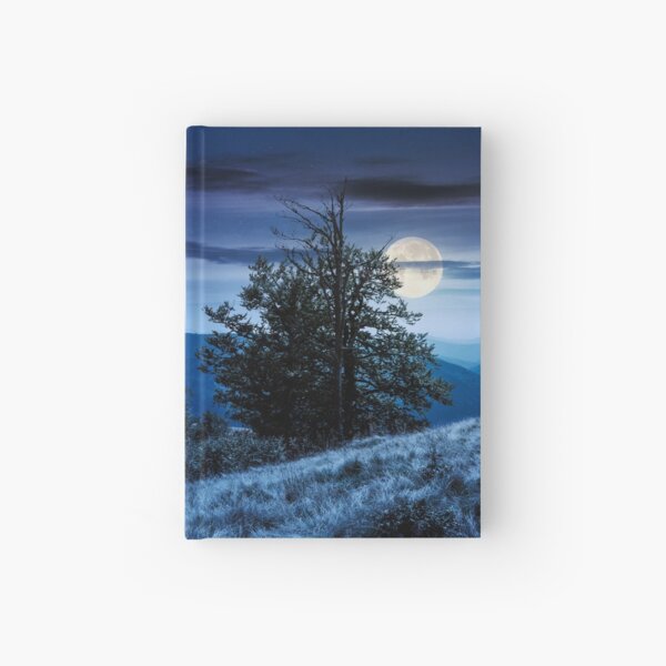 tree on the grassy hillside on at night Hardcover Journal