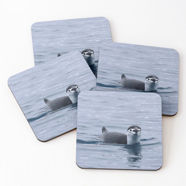 Item preview, Chinstrap penguin swimming designed and sold by Proud & Pretty Wildlife Photography.