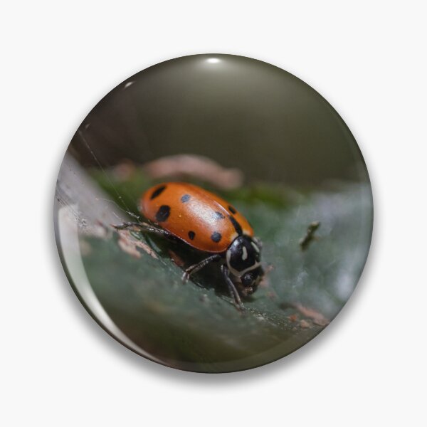 Item preview, Ladybug on the Rose designed and sold by SeenbyStraub.