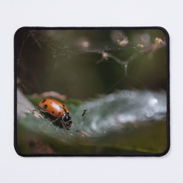 Item preview, Ladybug on the Rose designed and sold by SeenbyStraub.