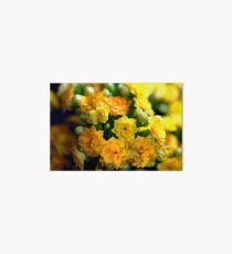 Tiny Yellow Flowers Art Board