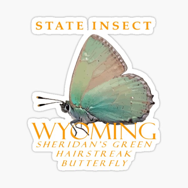 Item preview, Wyoming Territory Insect Sheridans Hairstreak Butterfly designed and sold by taiche.