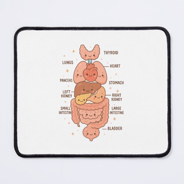 Item preview, Anatomy Human Torso Heart Lungs Organs Cute Medical designed and sold by queenzoid.