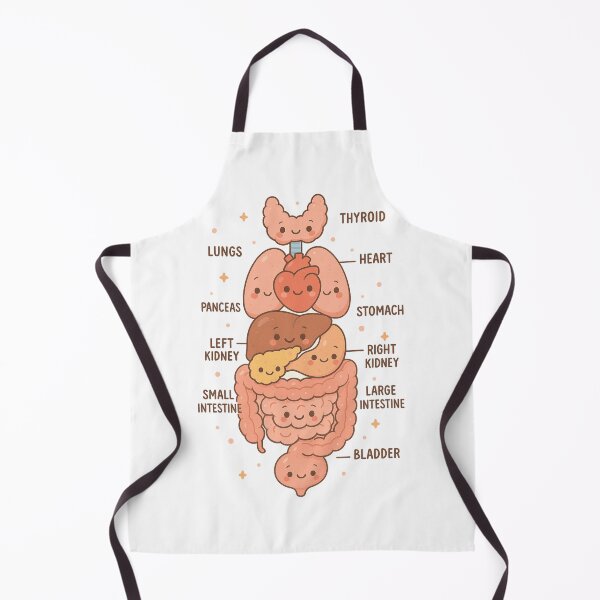 Item preview, Anatomy Human Torso Heart Lungs Organs Cute Medical designed and sold by queenzoid.