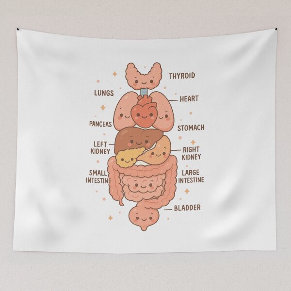 Item preview, Anatomy Human Torso Heart Lungs Organs Cute Medical  designed and sold by queenzoid.